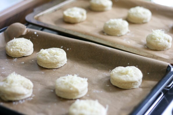 unbaked cheese scones on a baking tray