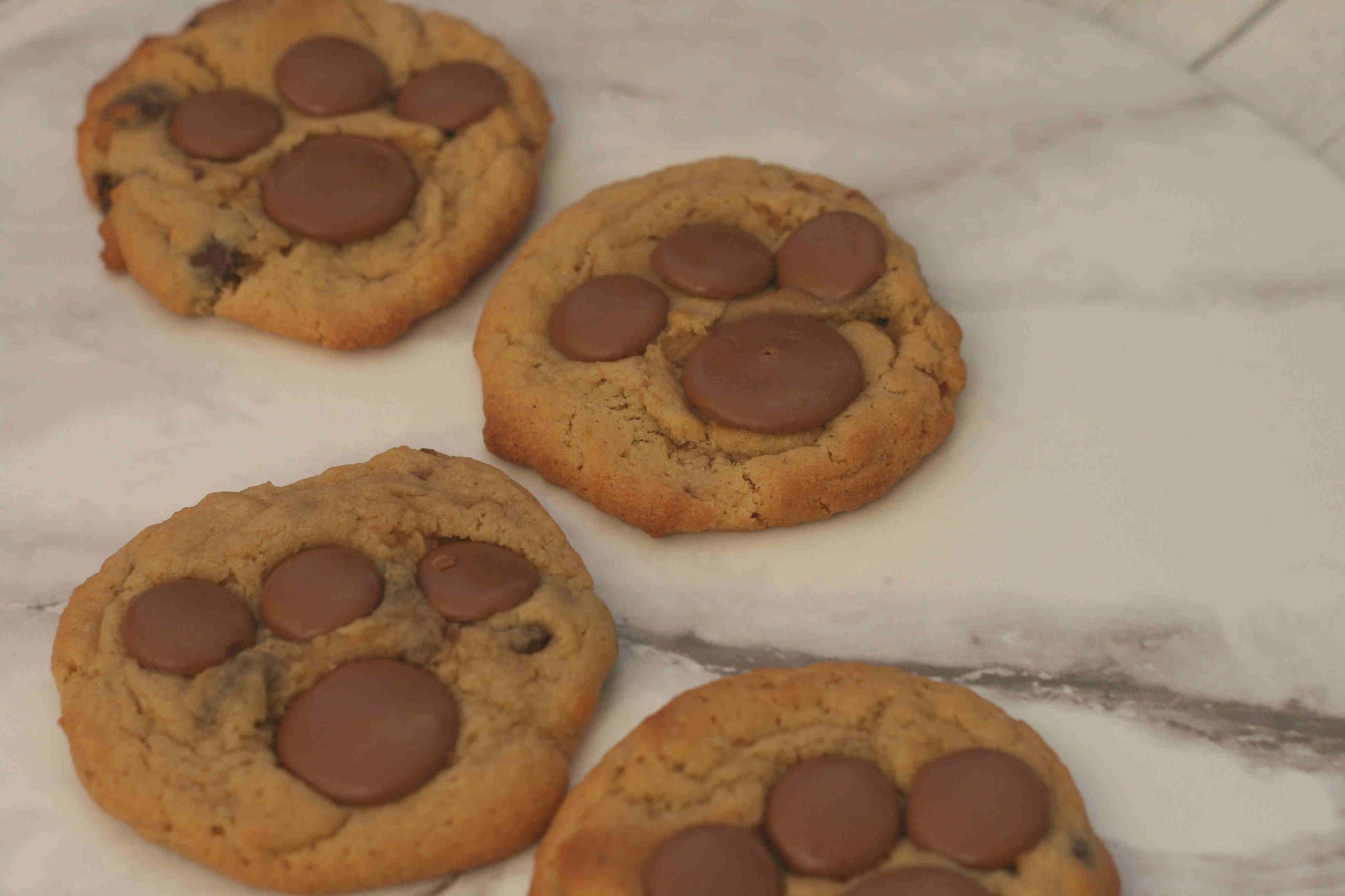 bear claw cookies