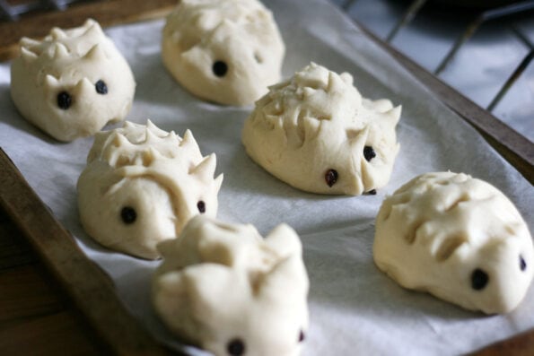hedgehog rolls before they're baked