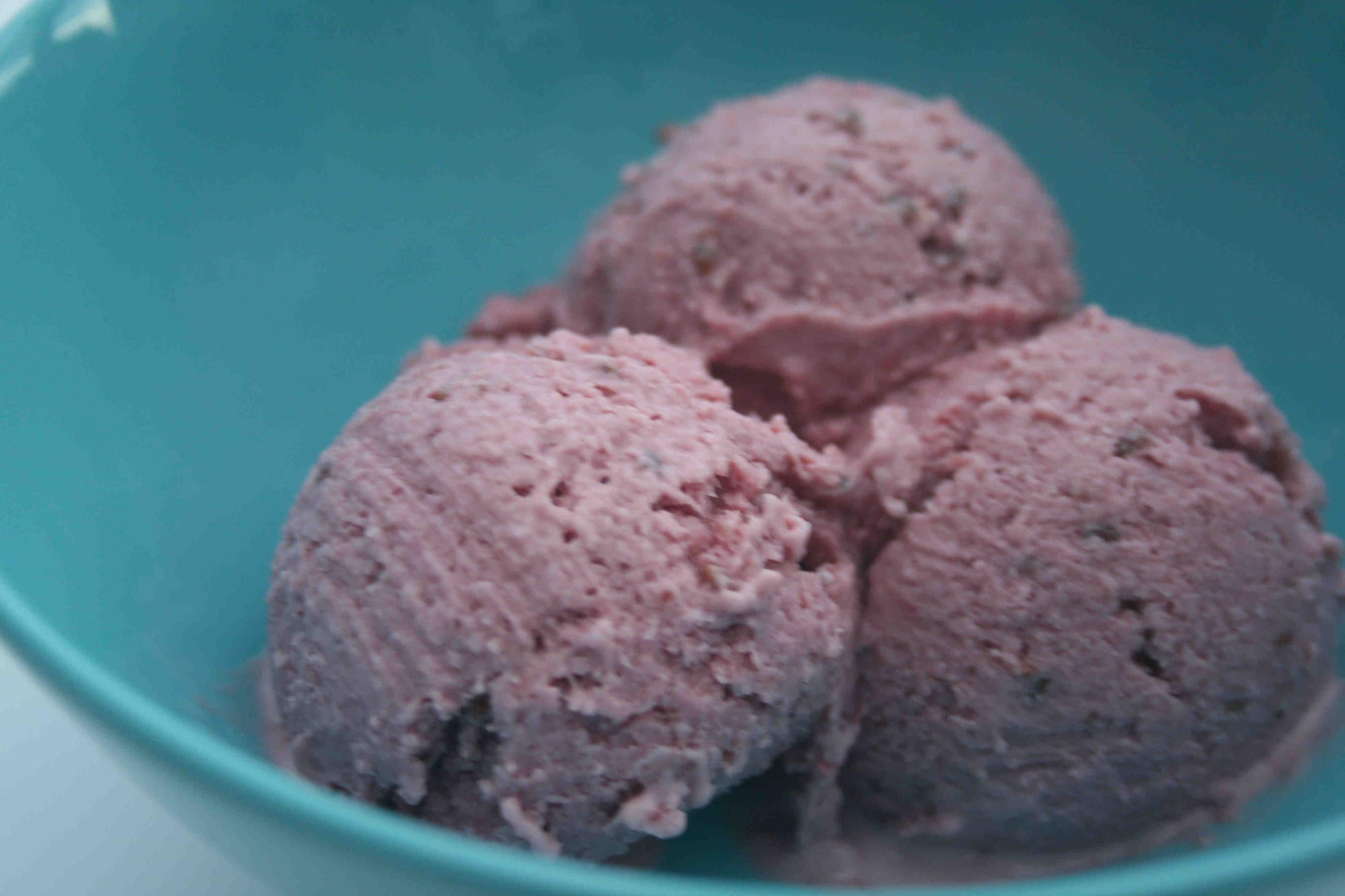 berry icecream