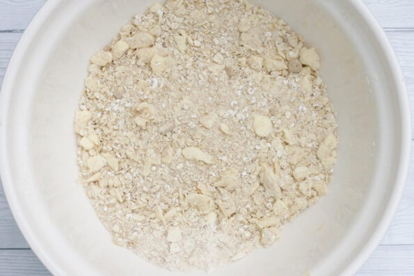 an oatmeal crumb in a bowl.