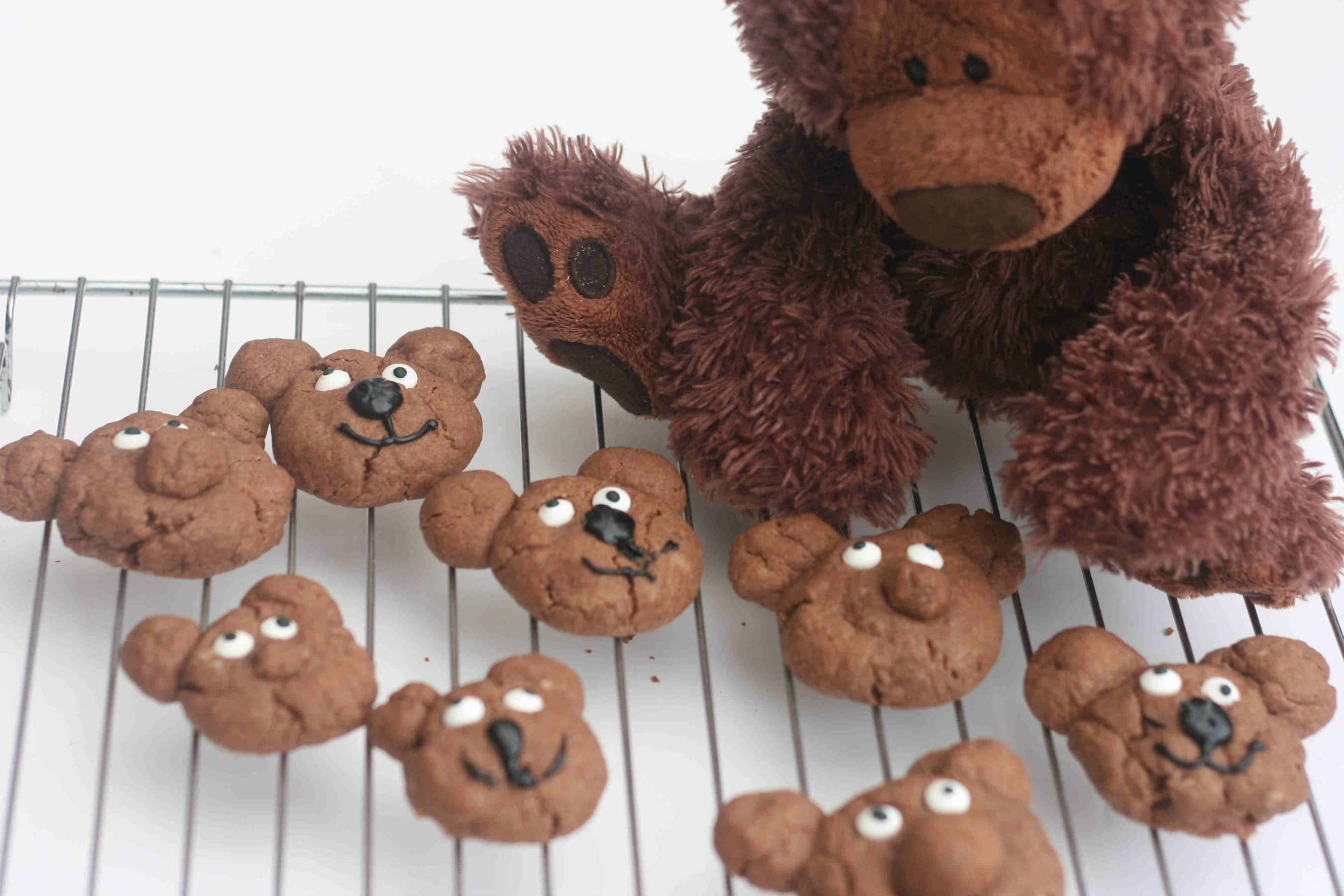 everywhere bear biscuits