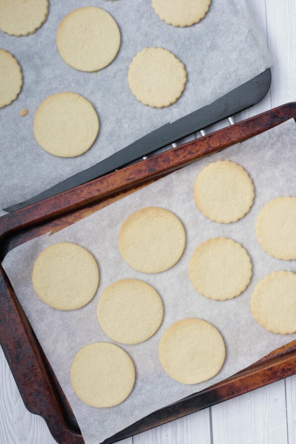 round biscuits on baking trays.